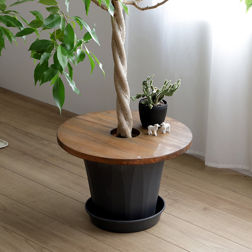 Mash マッシュ Jardin プランツテーブル サークル 直径30cm プランター