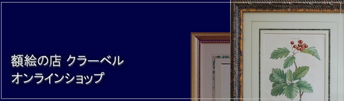 限定25/175 植物写実版画 額装 M.Tateishi ボタニカルアート