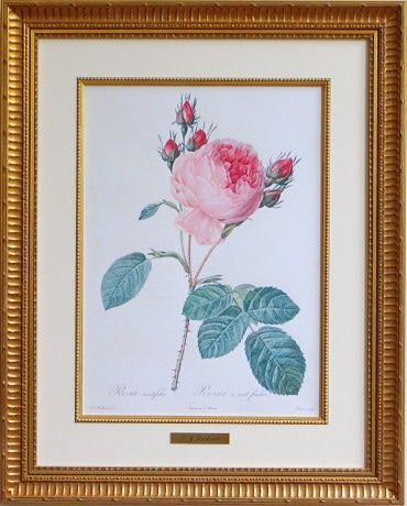 デザイン アート ピンクの薔薇 切り絵 美 内なる宇宙 潜在意識