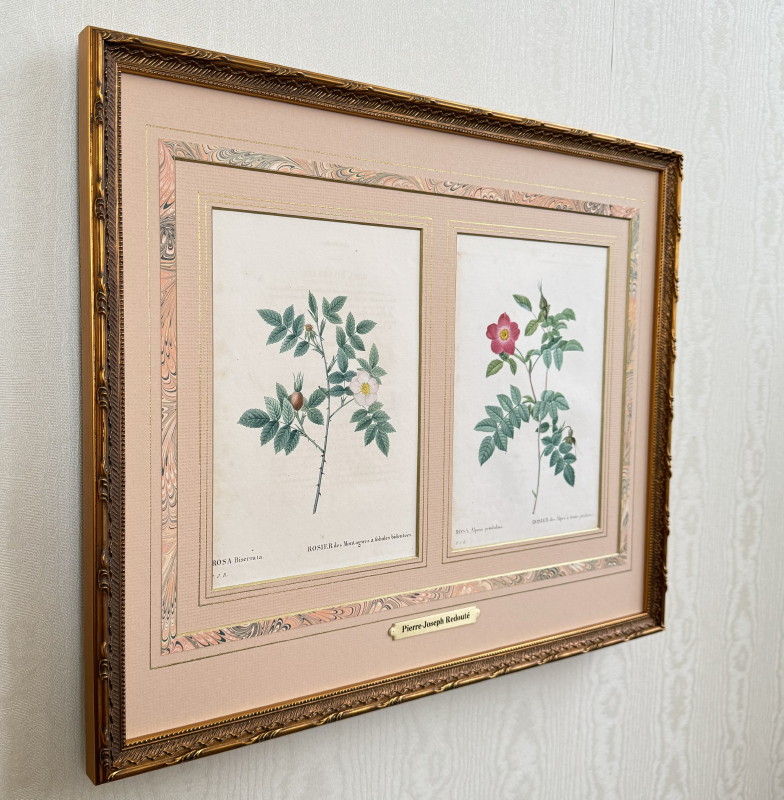 ルドゥーテ ローズ 絵額 複製画 『バラ図譜 』 ゴールドフレーム2
