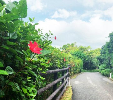 フラミンゴベニハルカ 720ml