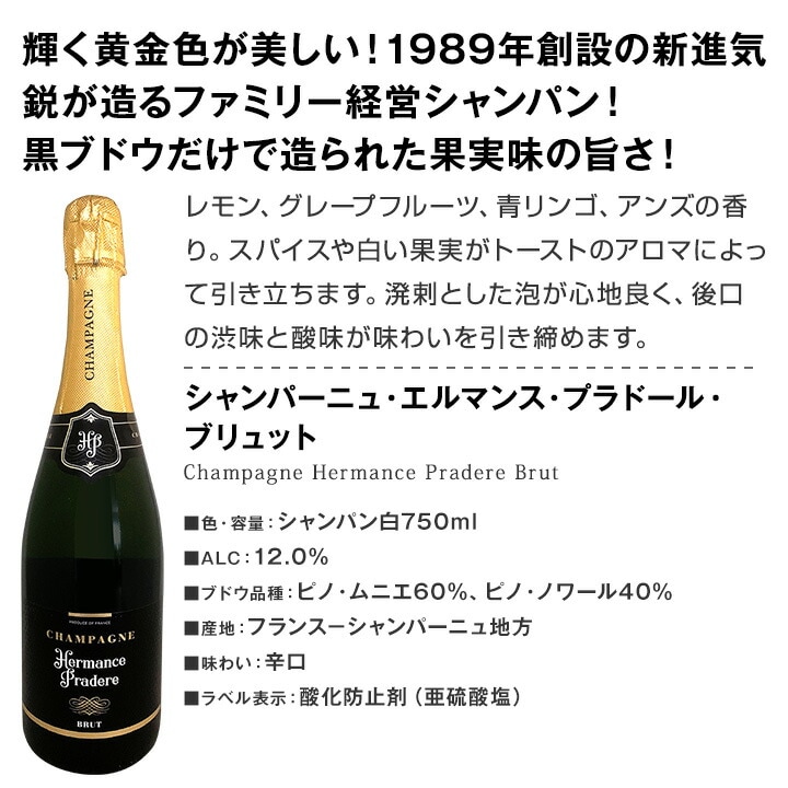 送料無料】第8弾！シャンパン入り！辛口スパークリングワイン12本