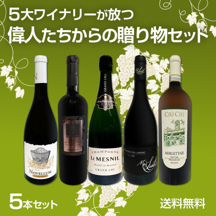 限定値下げ！】人気自然派ワイン5本セット 【公式通販】