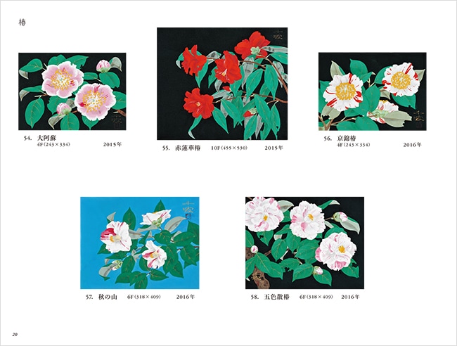 中島千波 彩図鑑Ⅴ 2015－2024｜求龍堂