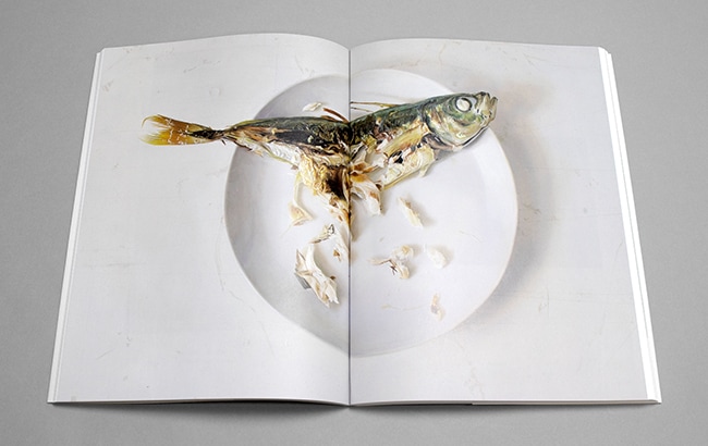 ☆限定サイン本 whiteness 藤田貴也｜求龍堂