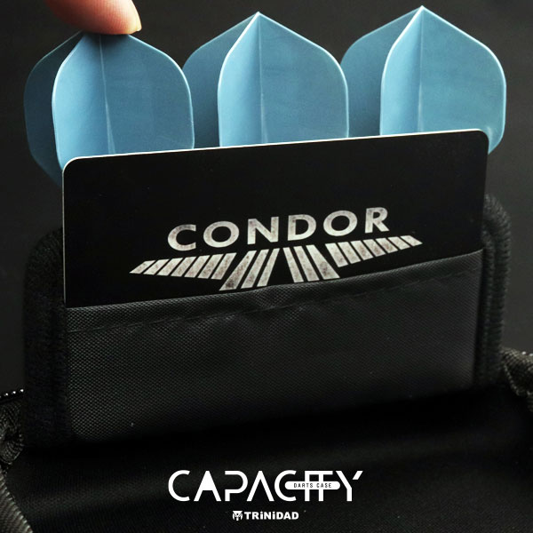 トリニダード キャパシティー プレイヤー TRiNiDAD Darts Case