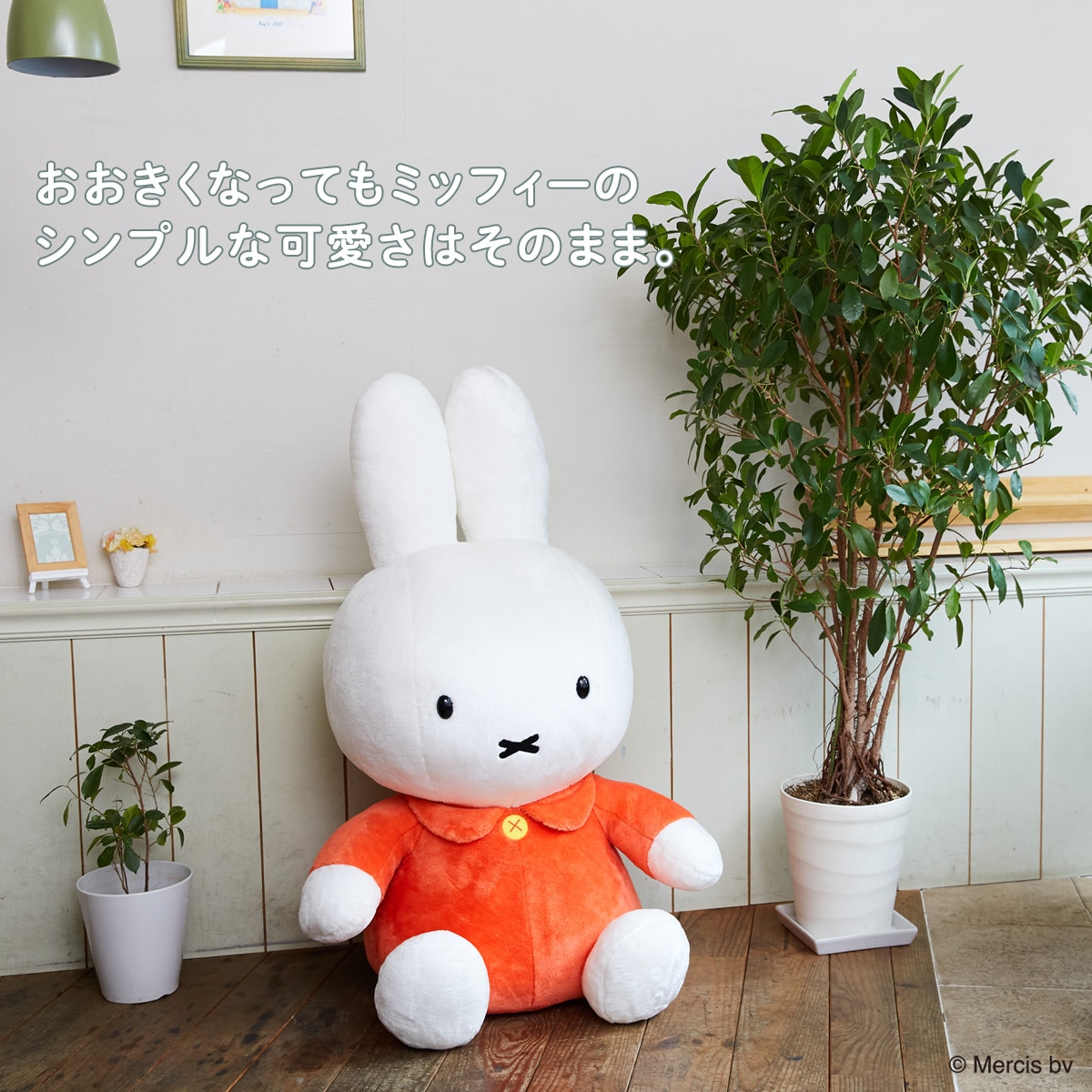 セキグチファンダイレクトショップ本店