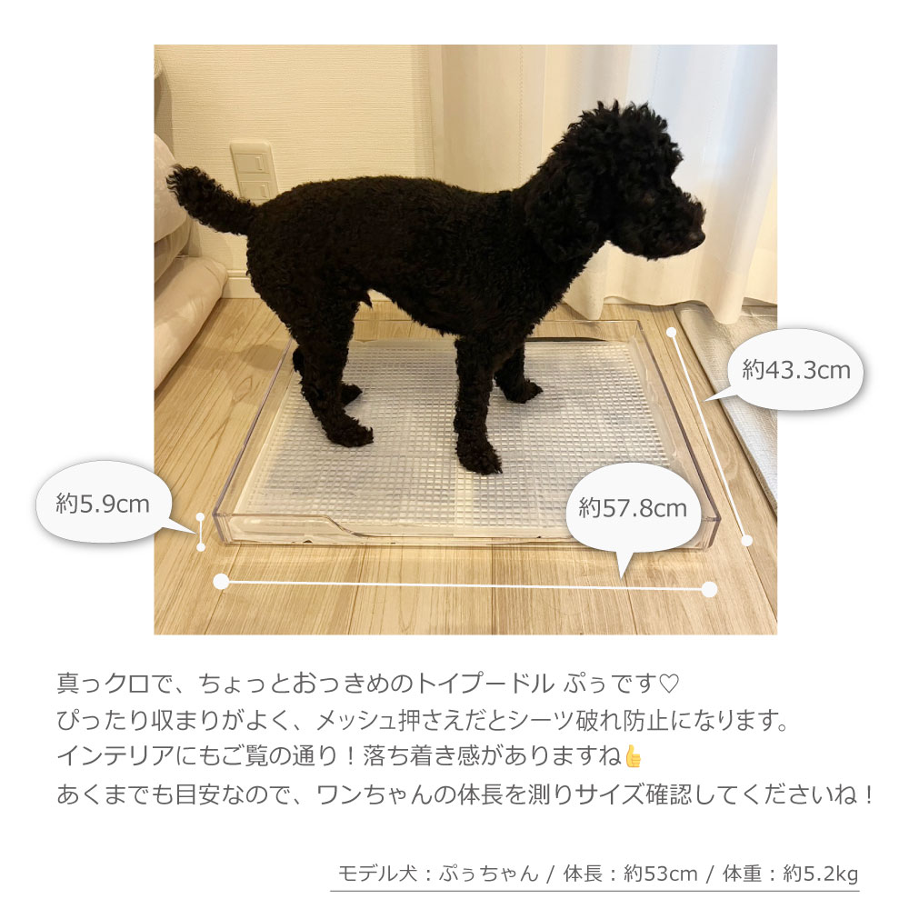 直販だから最安値／ [セット品] クリアレット・プレミアム 犬用トイレ