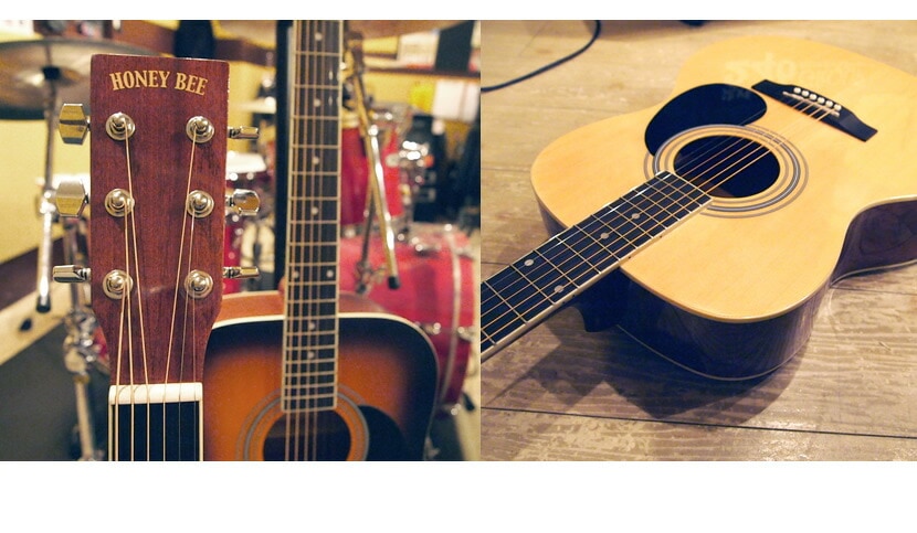 アコースティックギター HONEY BEE W-15/F-15/HJ-18 （本体のみ