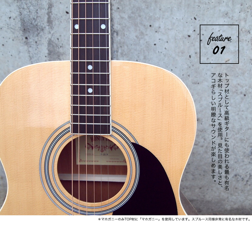 アコースティックギター HONEY BEE W-15/F-15/HJ-18 （本体のみ