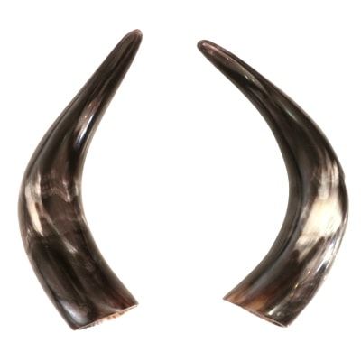 水牛の角について- 中国雑貨華蔵