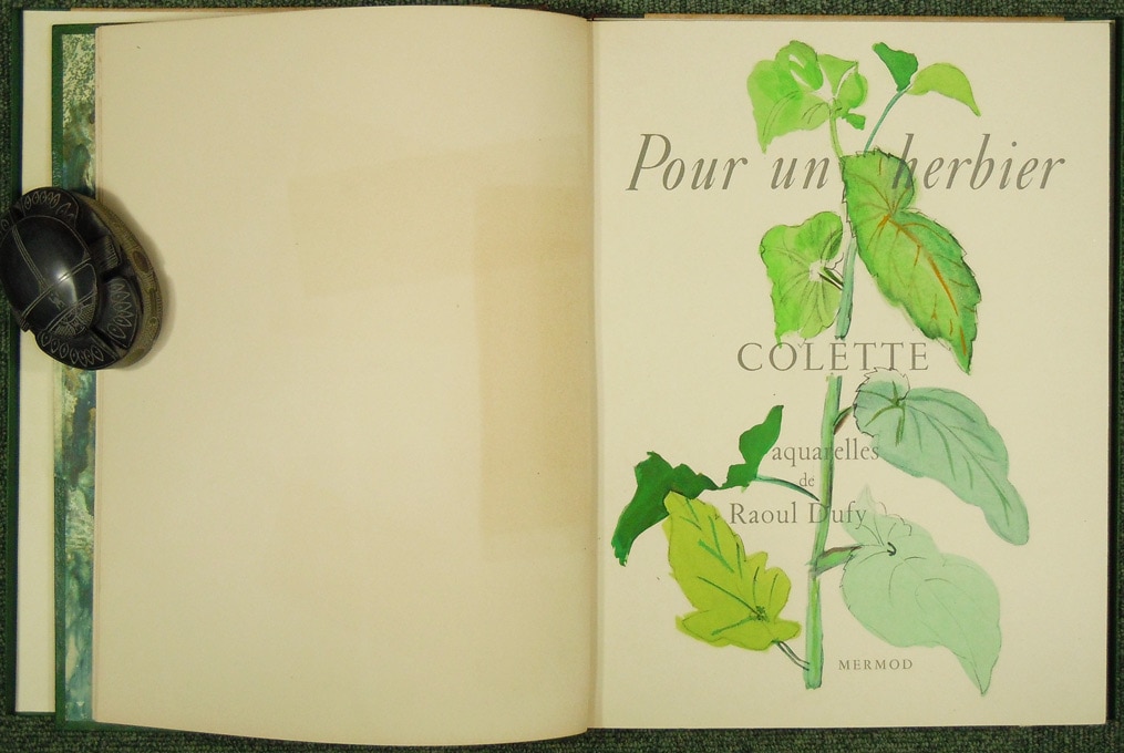ラウル・デュフィ 挿画本『植物誌』よりコスモス ラウル・デュフィ
