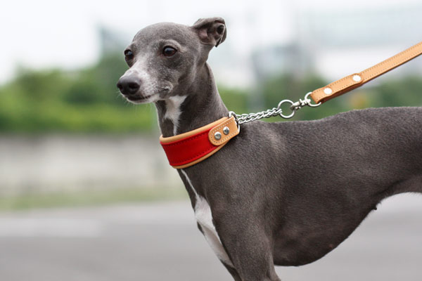 イタリアンレザーのハーフチョーク （レッド×ヌメ） 首輪 irotoito