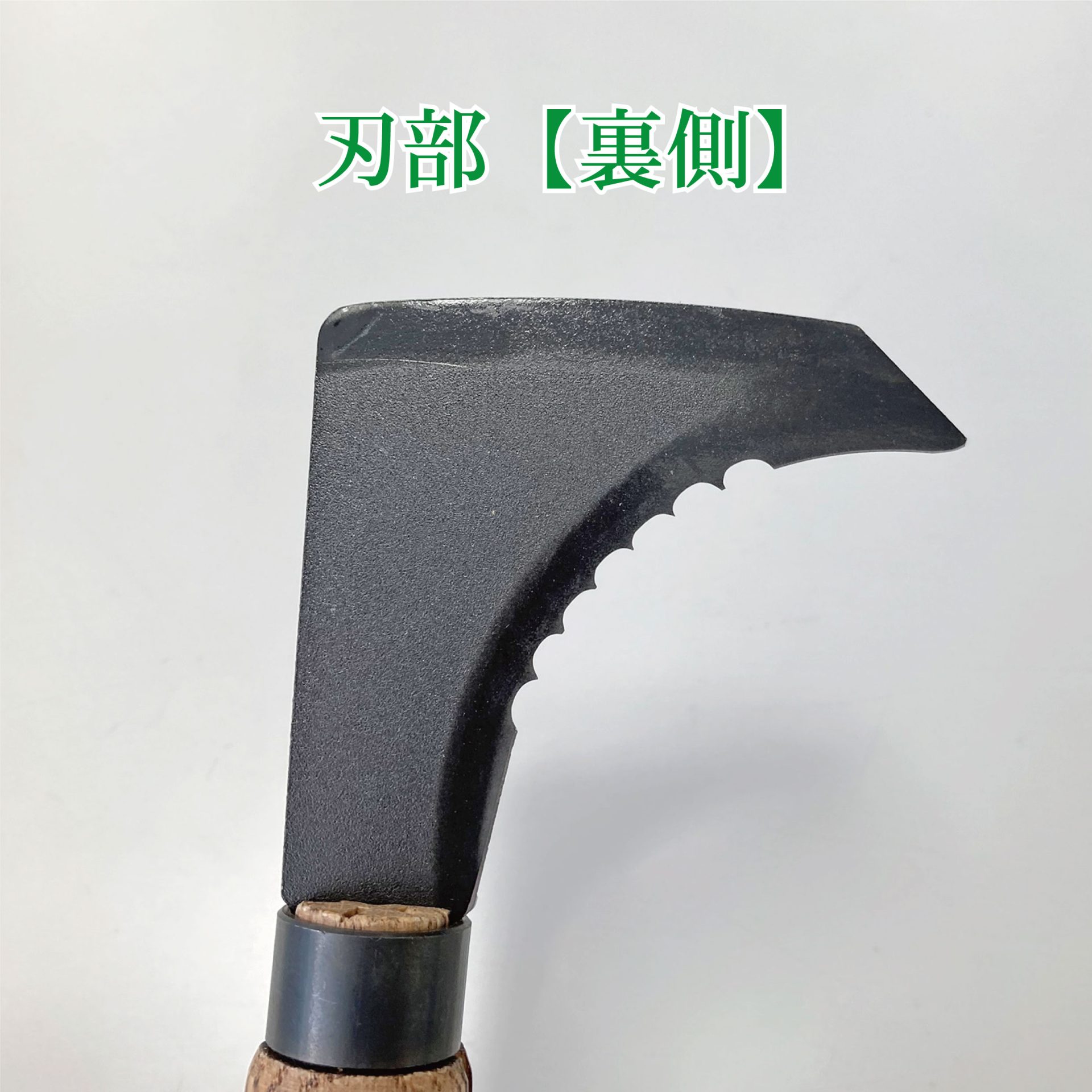 1419 - キンボシ株式会社