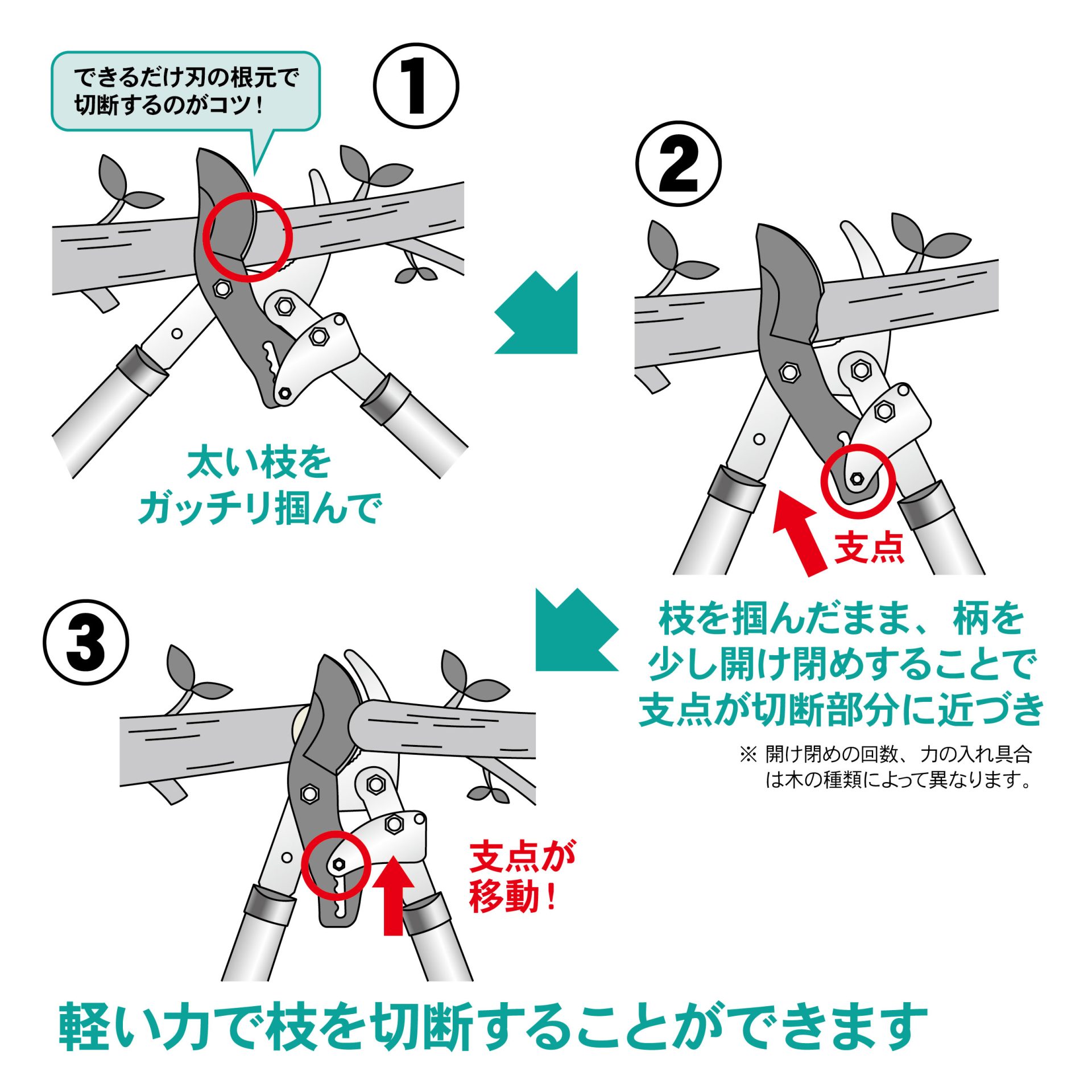 2044 - キンボシ株式会社
