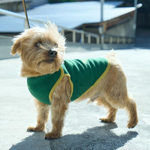 Others - minä perhonen