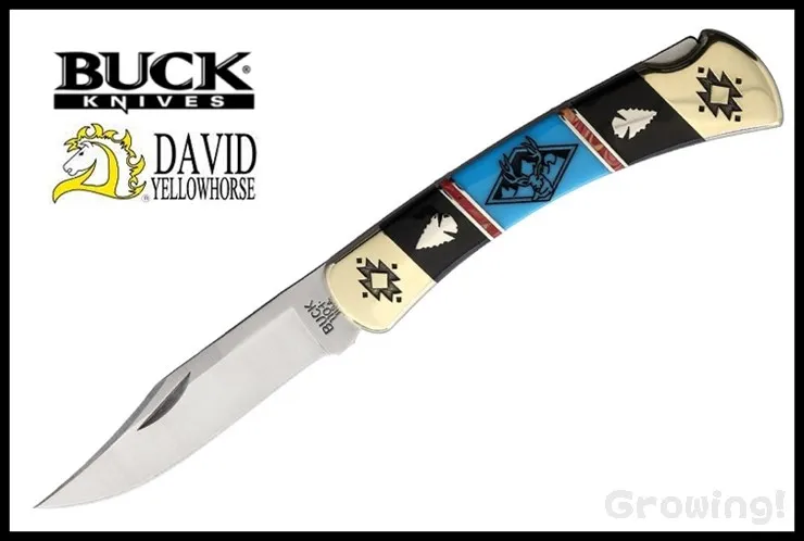 ナイフショップ グローイング！□BUCK【バック】ナイフ□ #110