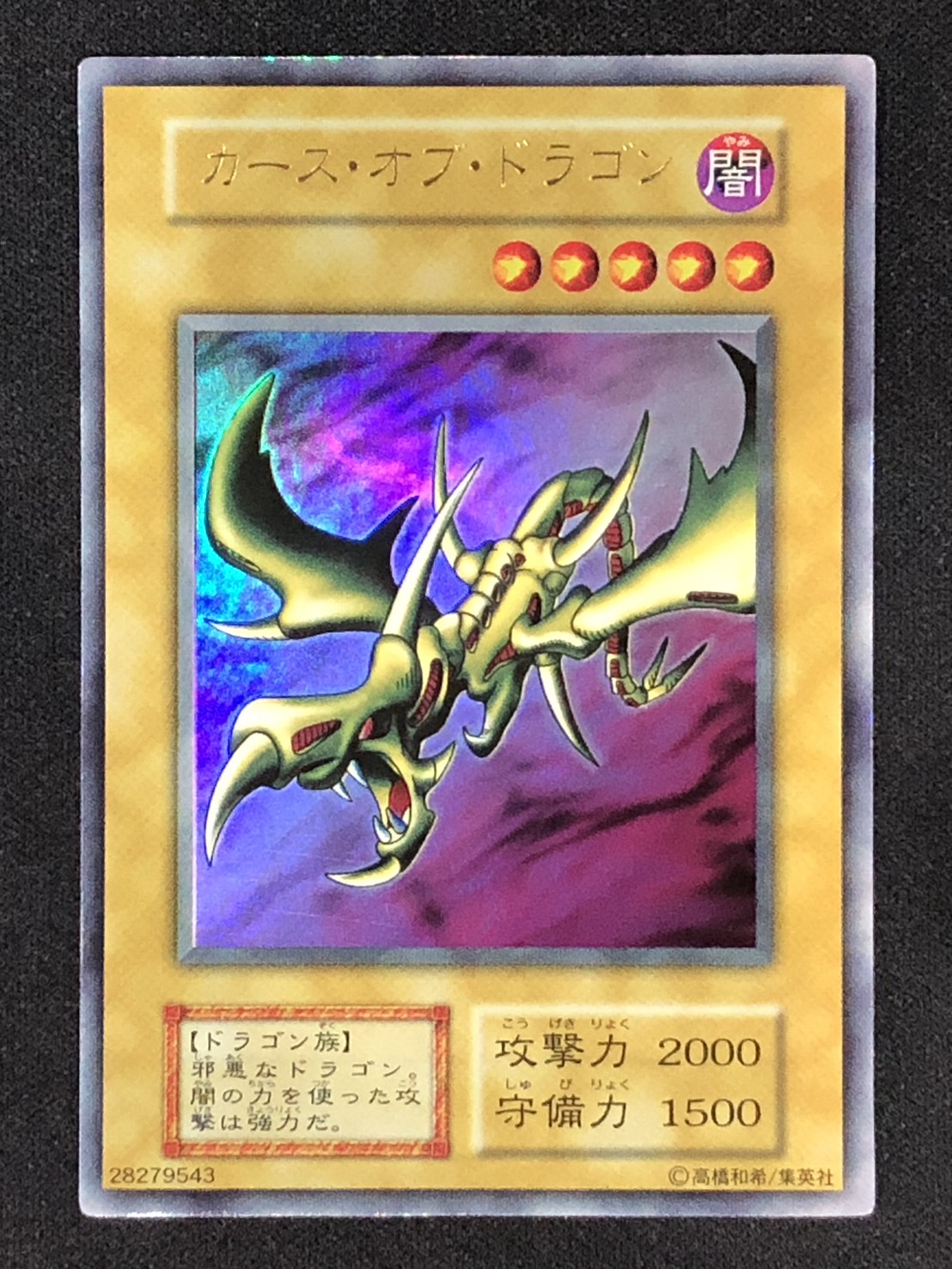 PSA10】 カースオブドラゴン 初期 ノーマル 遊戯王 鑑定 PSA PSA10