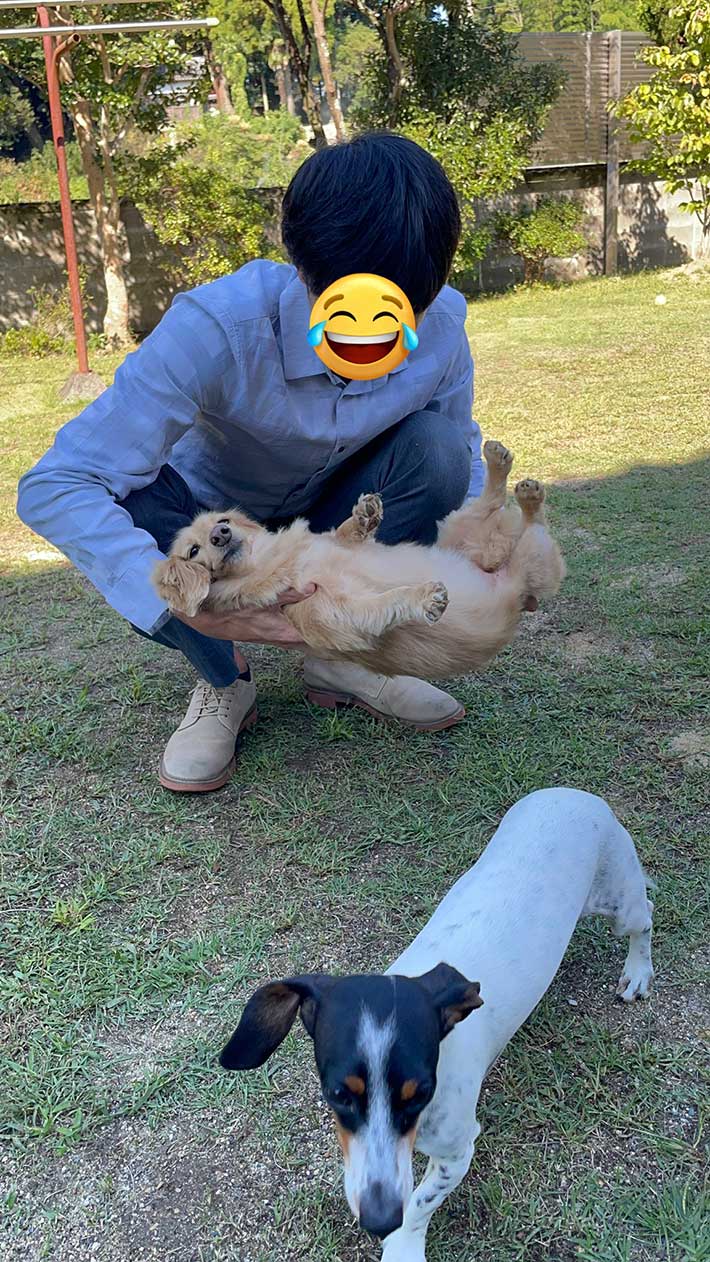 抱っこされるの下手な犬』 表情に「笑える」「クセになる」 – grape