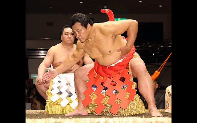 値下げ」第58代横綱 千代富士 ブロンズ 手形 額入り をゑん@幸せな結末