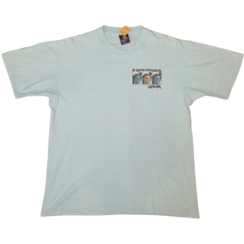 古着屋 GREEN HEAVEN 半袖Tシャツ ページ