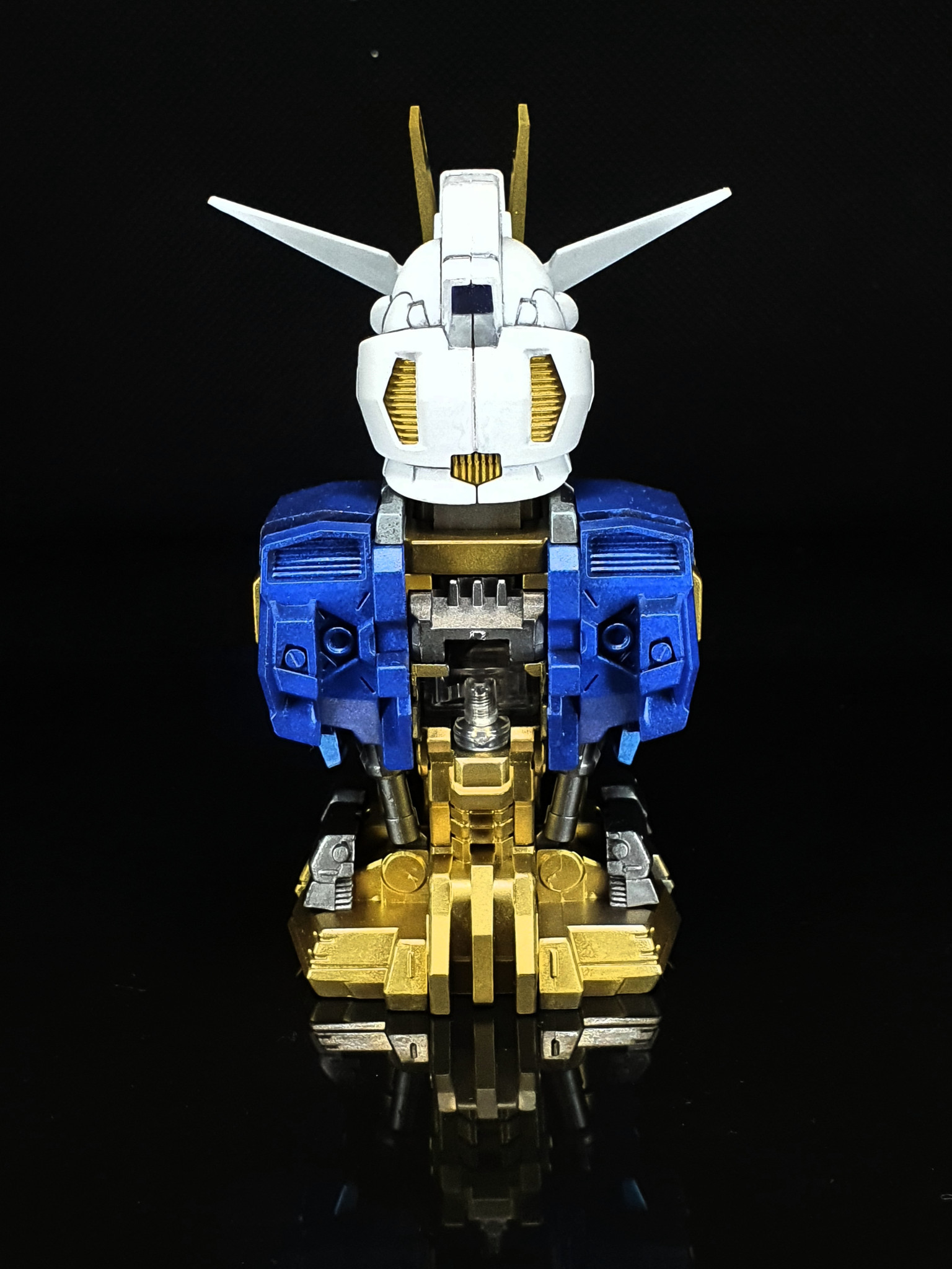 全塗装】メカニカルバスト ストライクフリーダムガンダム｜やすひト