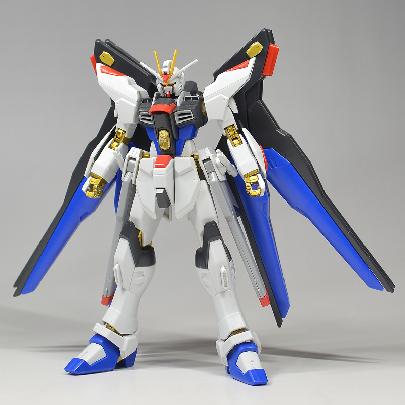 HG ストライクフリーダムガンダム 光の翼DXエディション 素組み立て品