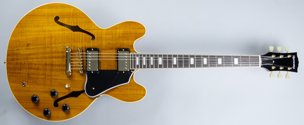 セミアコギター】-HISTORY-コア材の天然杢が美しい限定モデル！”SA