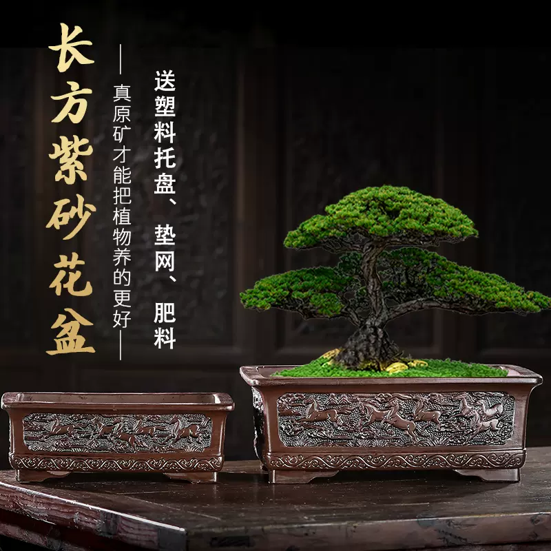 鉢盆栽鉢陶器落款あり