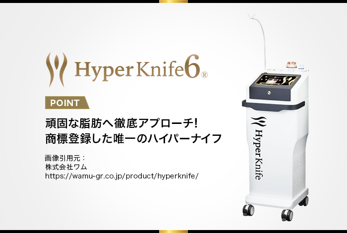 ワム社 Hyper Knife6 ハイパーナイフ6 6枚目の資料も含みます！ ワム
