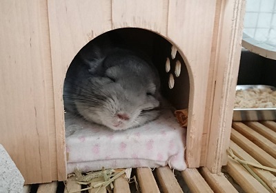 チンチラのクーラーPC－200の公式サイト