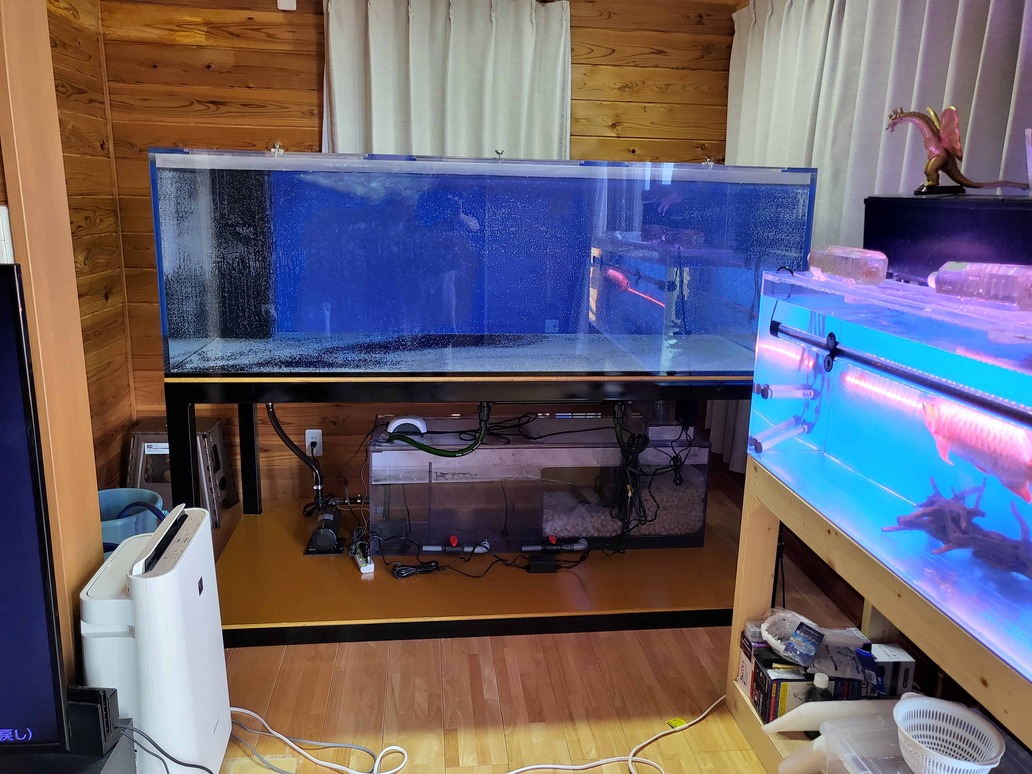 アクアランドはなばた | 福島県いわき市の熱帯魚屋 / 【180×60×60cm