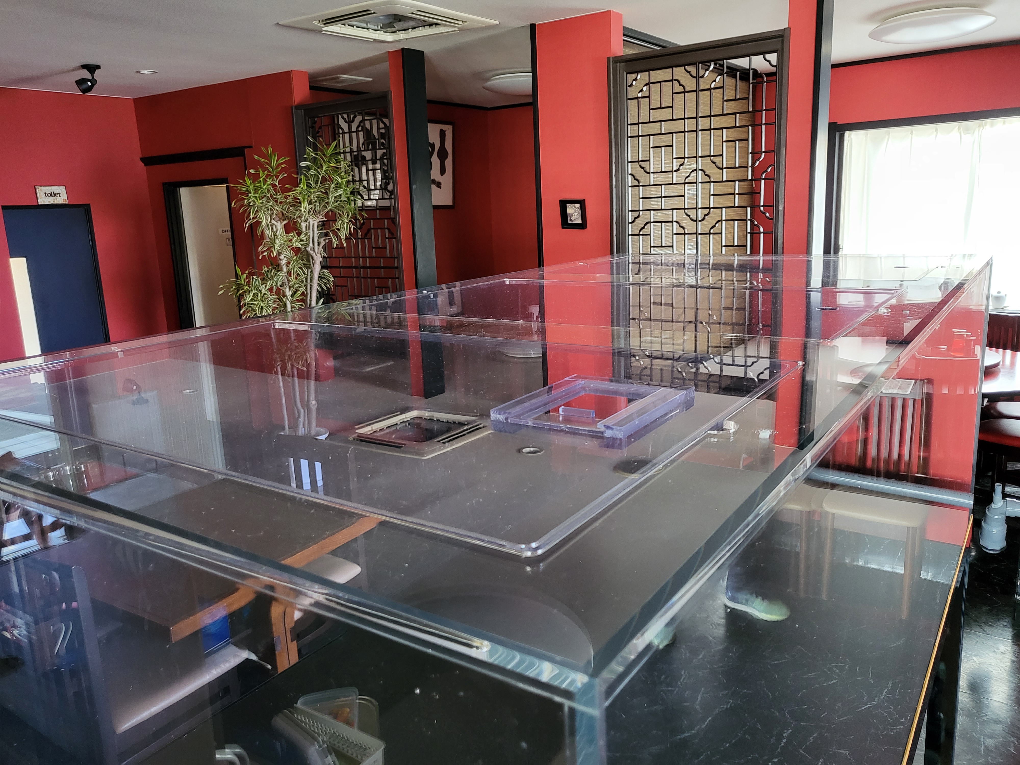 アクアランドはなばた | 福島県いわき市の熱帯魚屋 / 【180×90×60cm