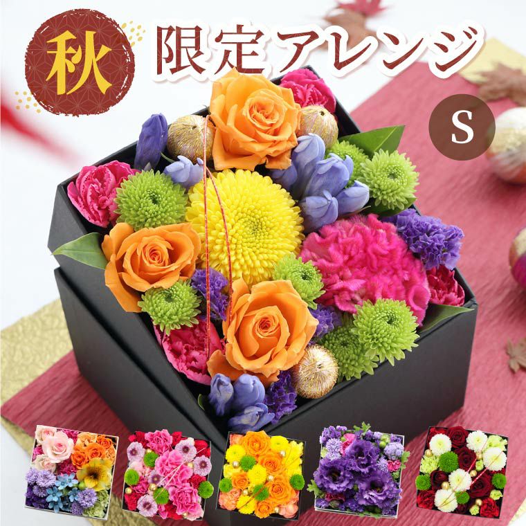 ADA 20周年 プロレイザー フラワーブラック 【公式通販】