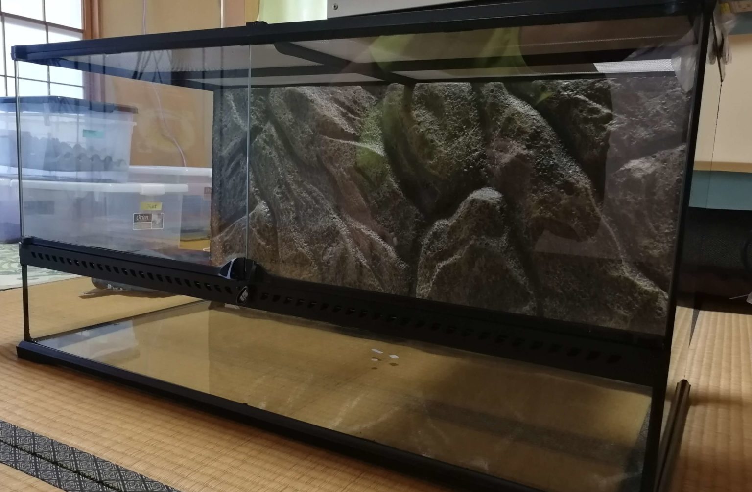 爬虫類ケージ 9045 専用 爬虫類ケージ 9045 専用 グラステラリウム9045