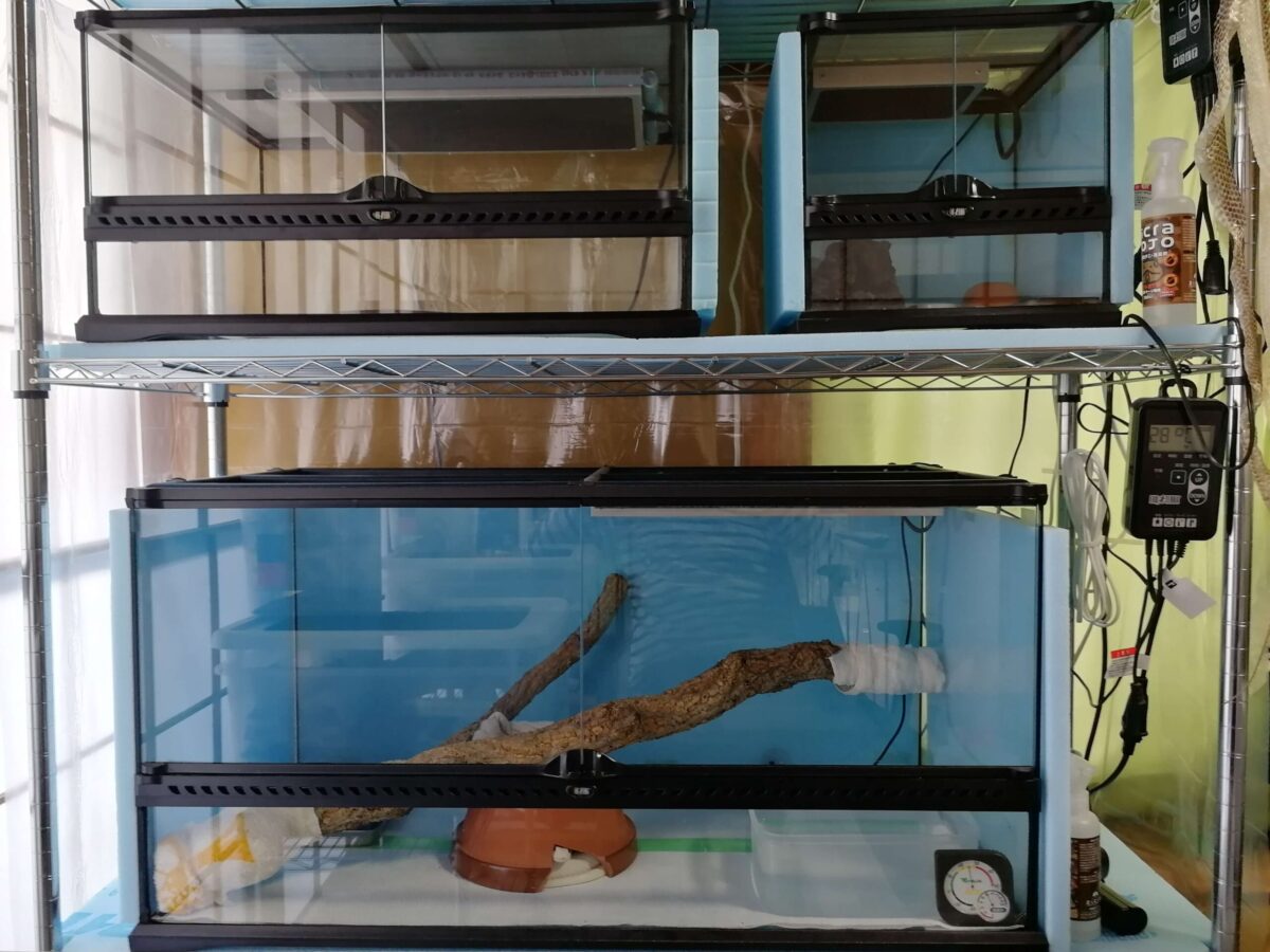 GEX グラステラリウム4530