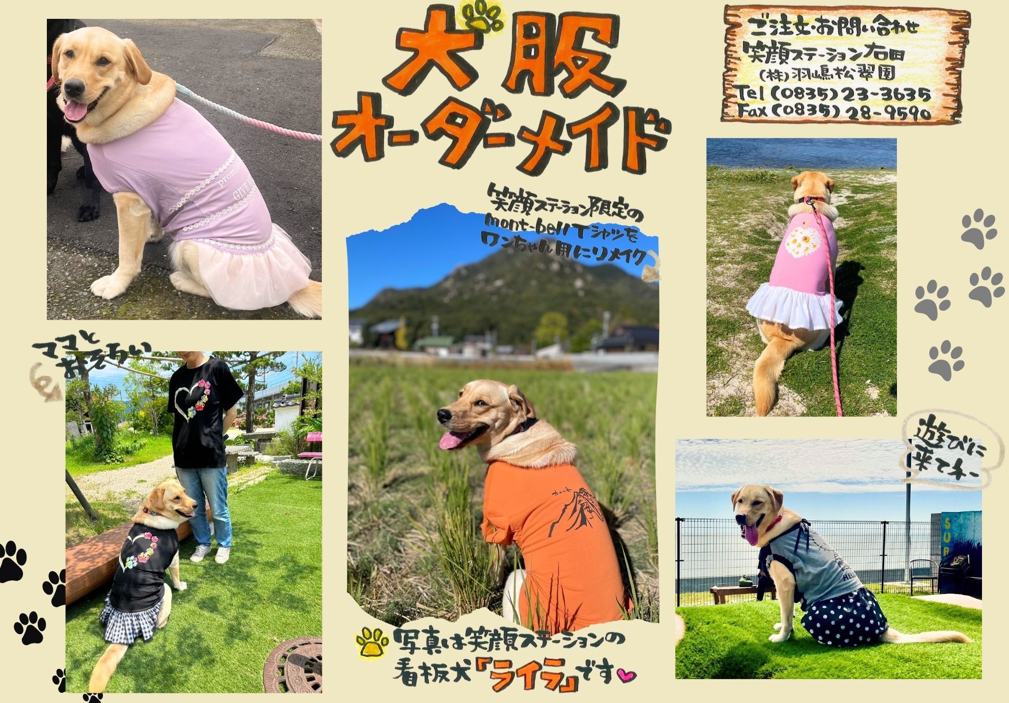 犬服オーダーメイド♪ ｜お知らせ｜ 羽嶋松翠園