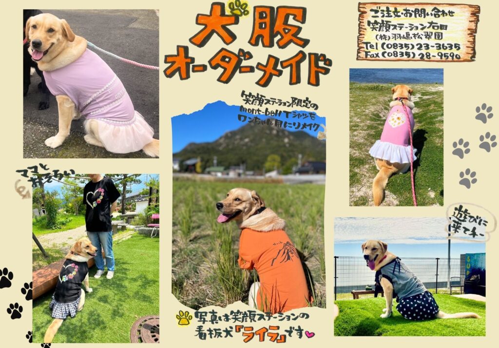 わんこ服-1024x714.jpg
