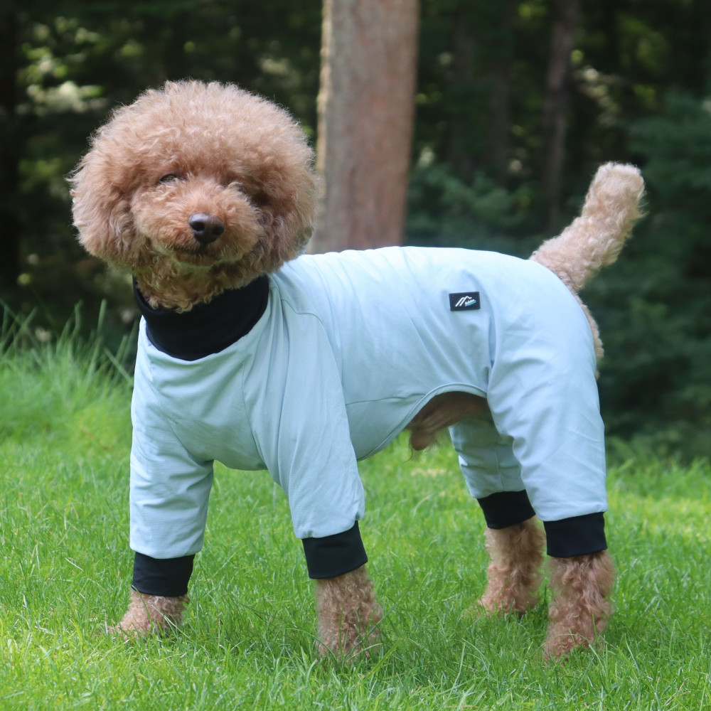 AIR MESH DOG SUIT – Hakusan