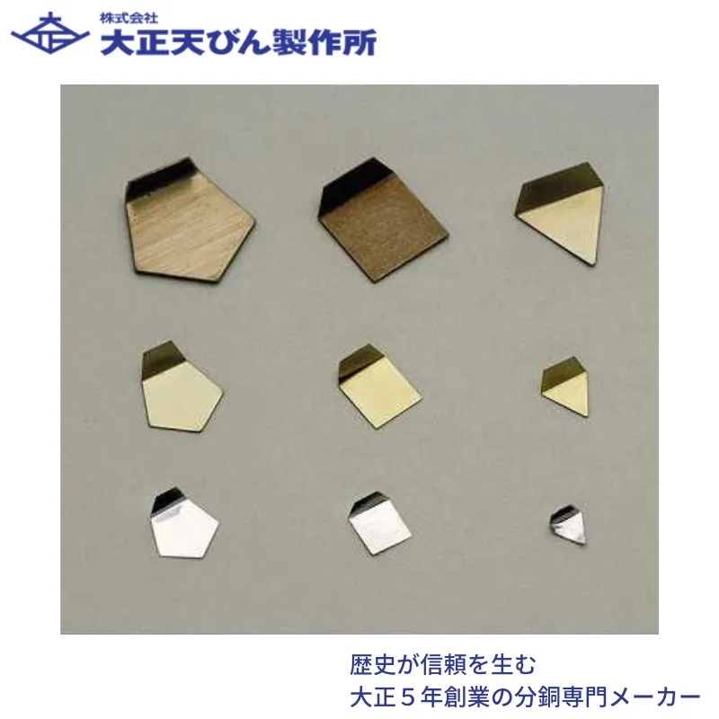 ㈱大正てんびん製作所 基準分銅型板状分銅(非磁性ステンレス鋼製