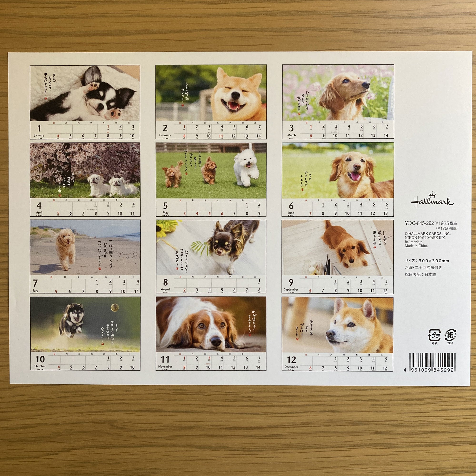 845292_10.jpg?v=1753682938&