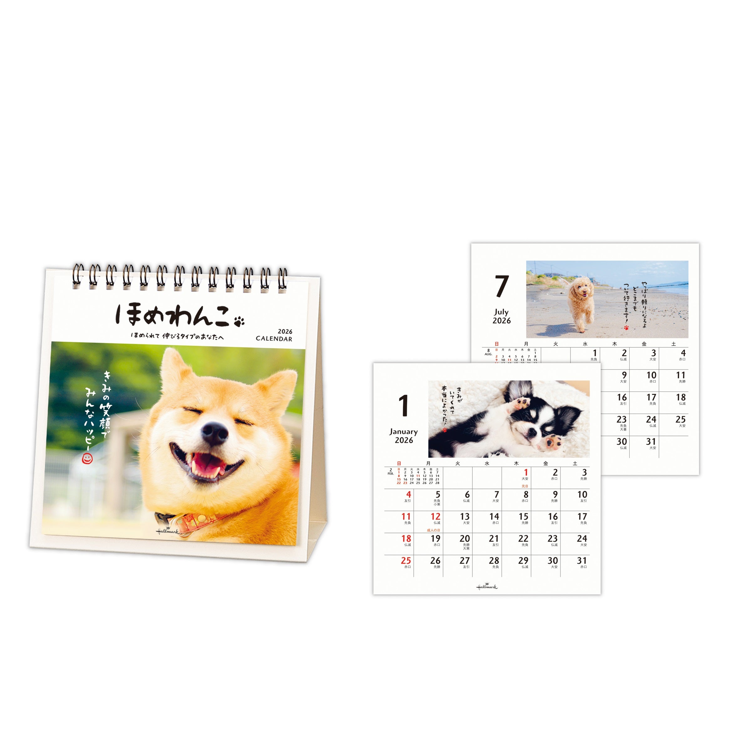 845544.jpg?v=1753682955&width=1200