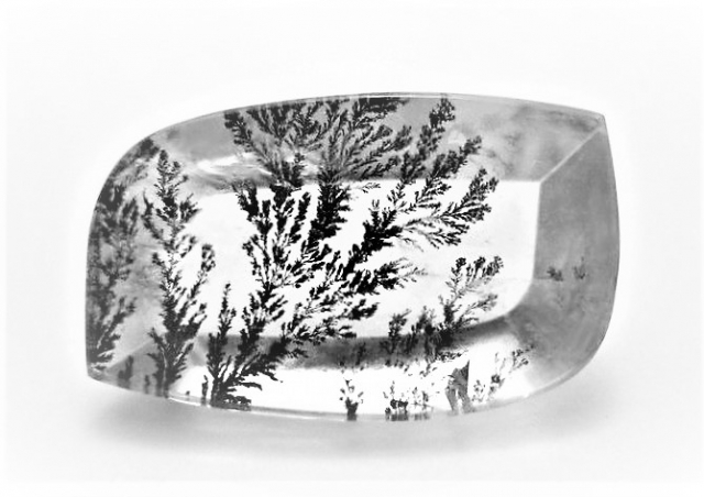 永久に枯れない樹木を封じ込めた石樹形石(しのぶ石) Dendrite