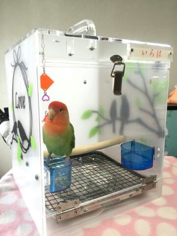 鳥さんの移動に アクリル製キャリーケース ハッピーケース