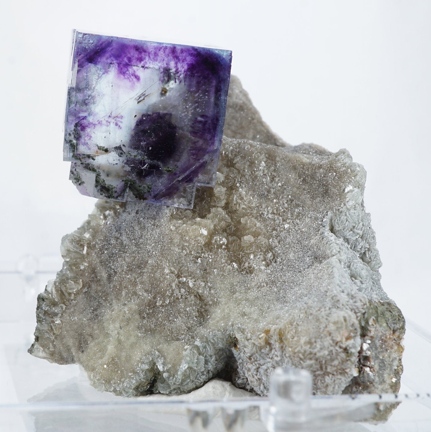 ヤオガンシャン ライトグリーン ブルーウィンドウ パープルファントム