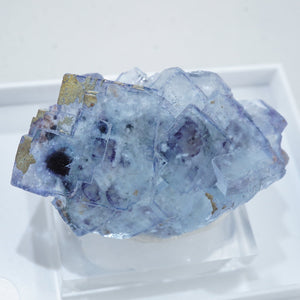 フローライト – タグ 