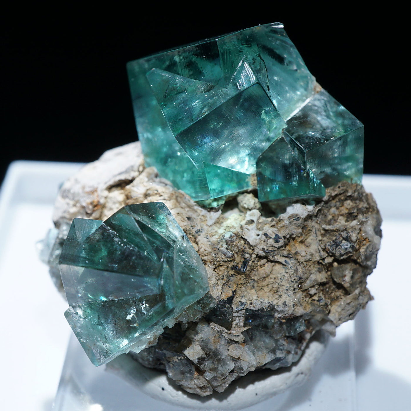 希少イギリスダービーシェア（Derbyshire）フローライト