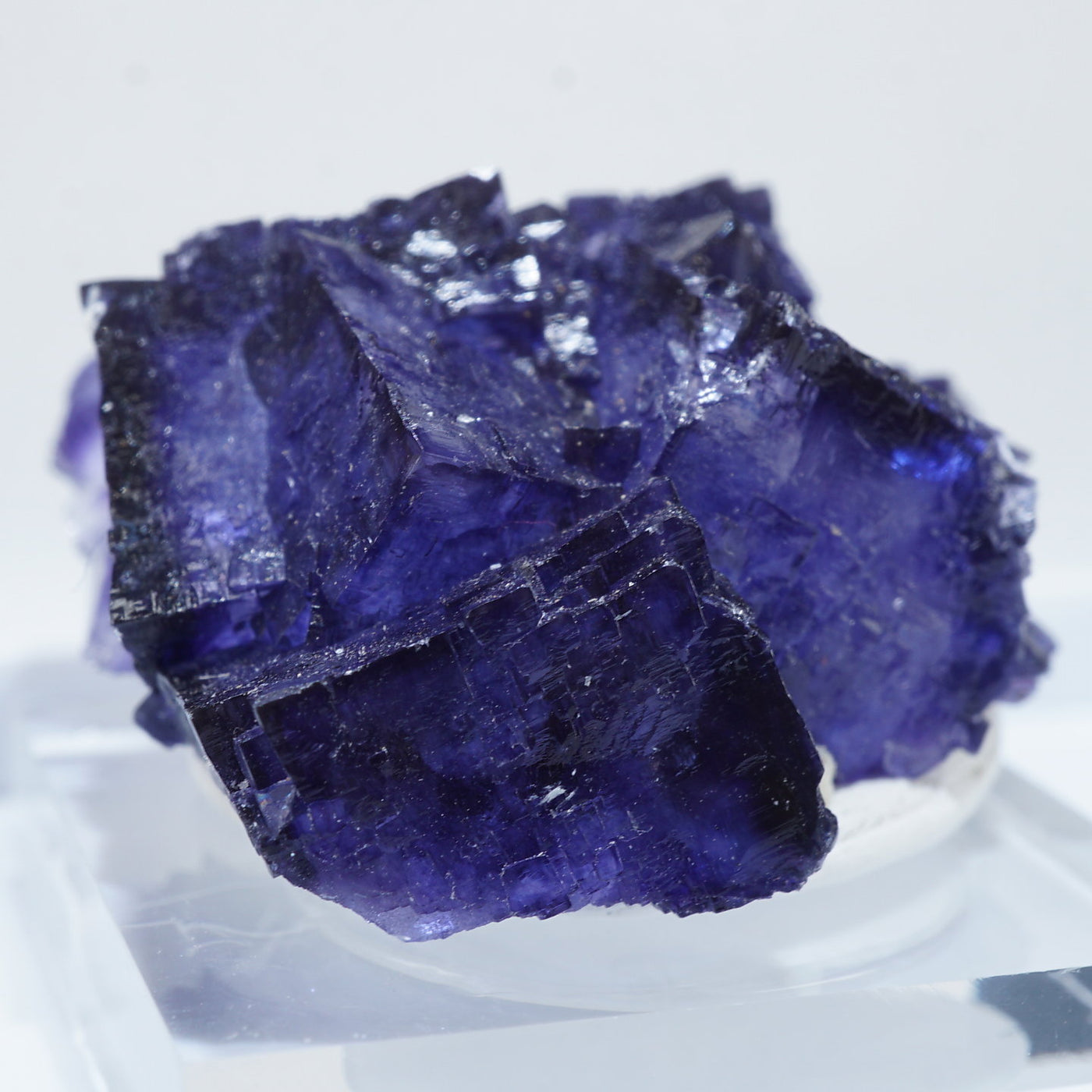 コレクターズアイテム】エルムウッドフローライト 【公式通販】