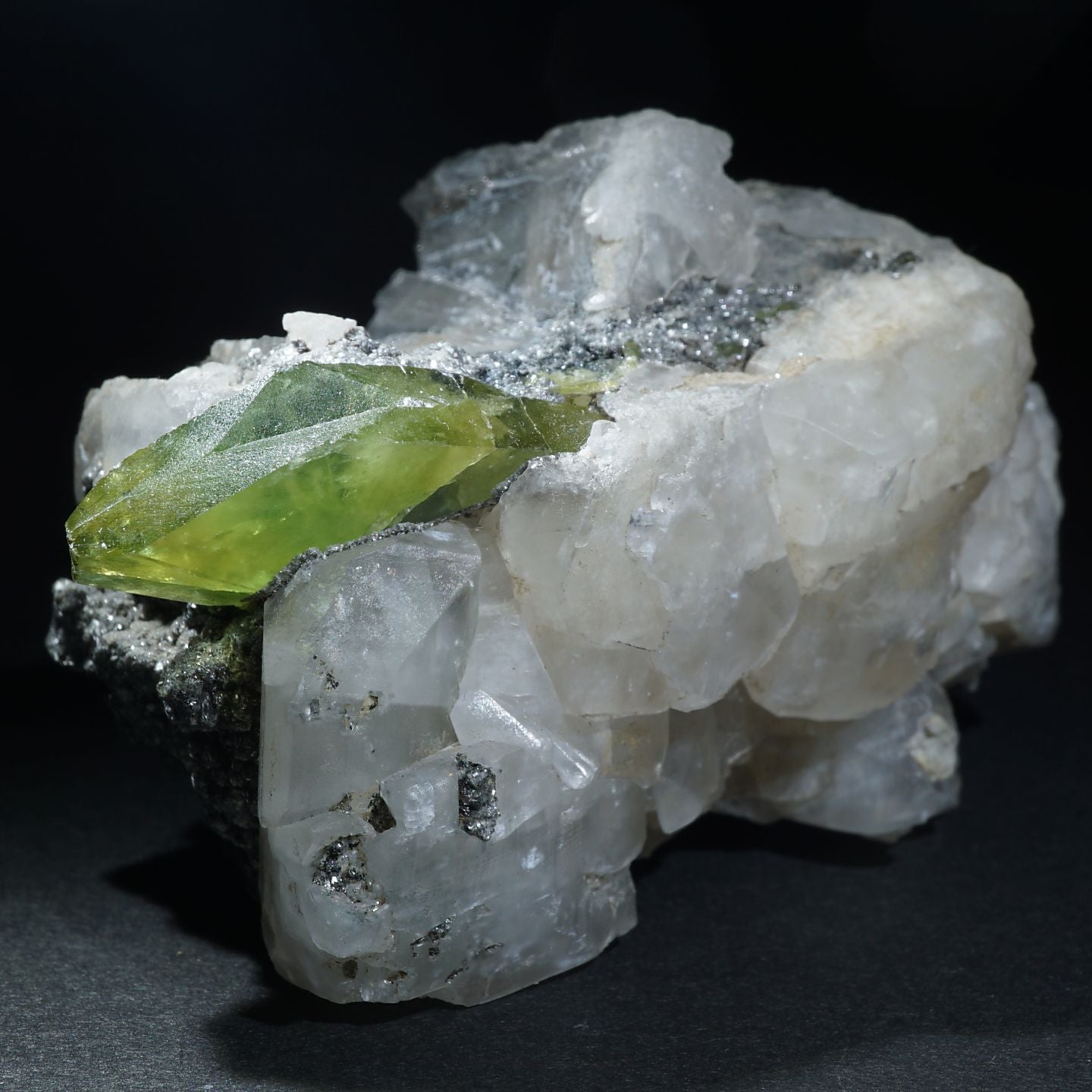 90516-c1_1440x.jpg?v=1642567482