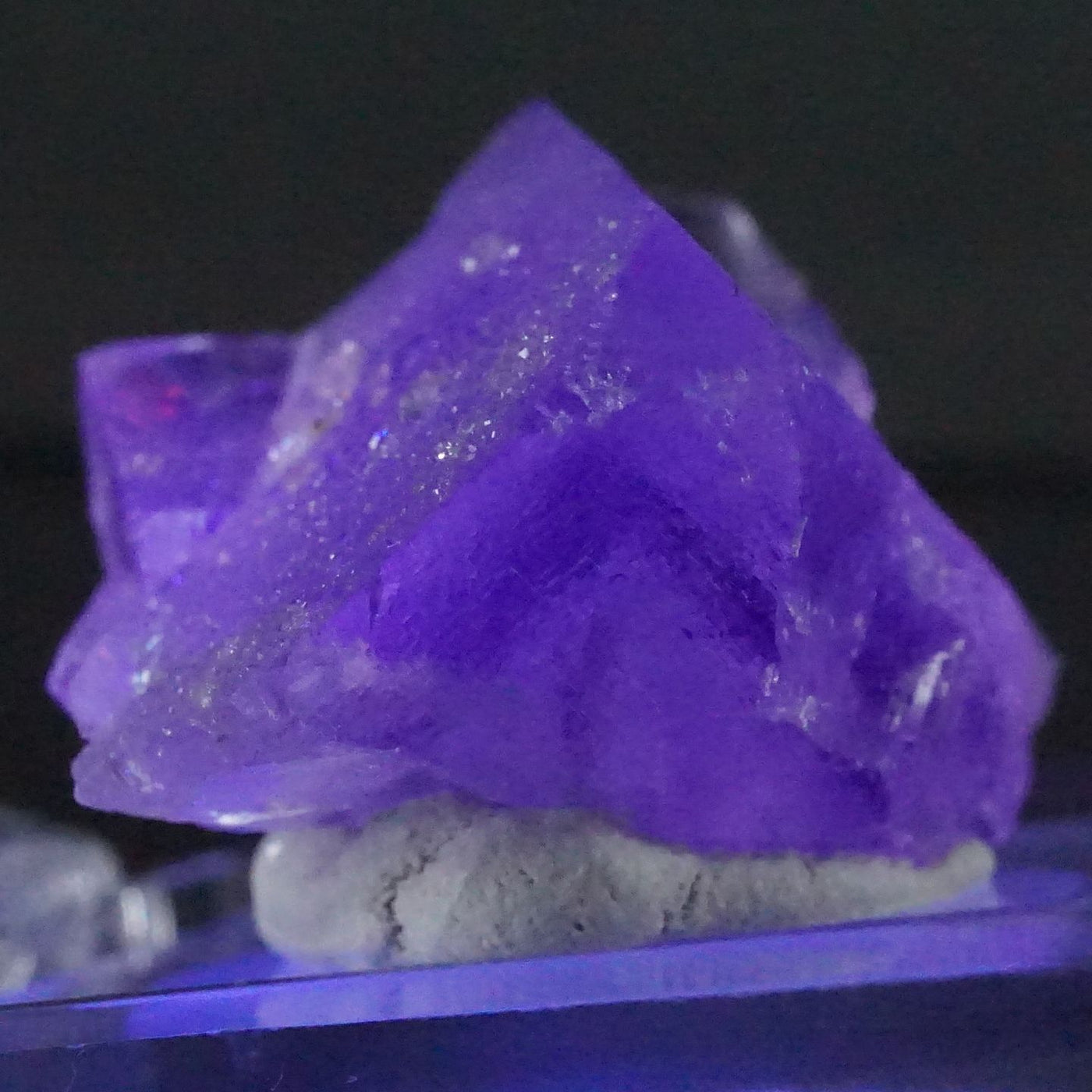 コレクターズアイテム】エルムウッドフローライト 【公式通販】